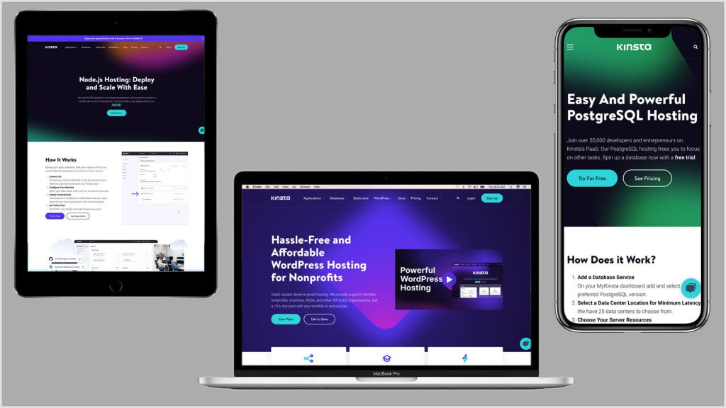 Screenshots: Kinsta web pages 1