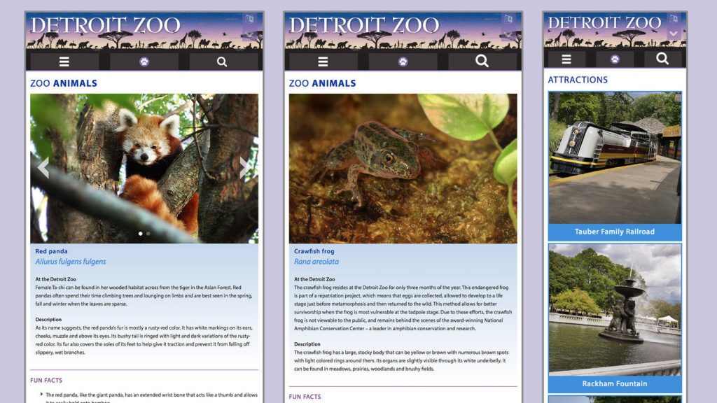 Screenshot: DZ website sample 2
