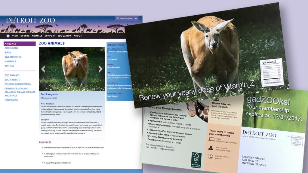 Screenshot: DZ website sample 3
