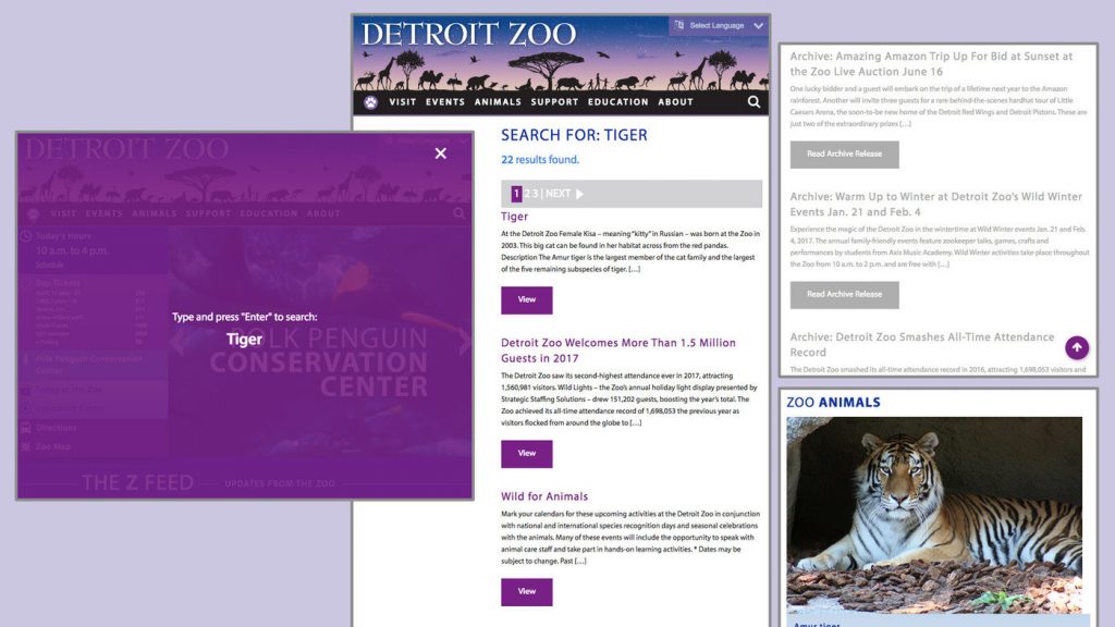 Screenshot: DZ website sample 4