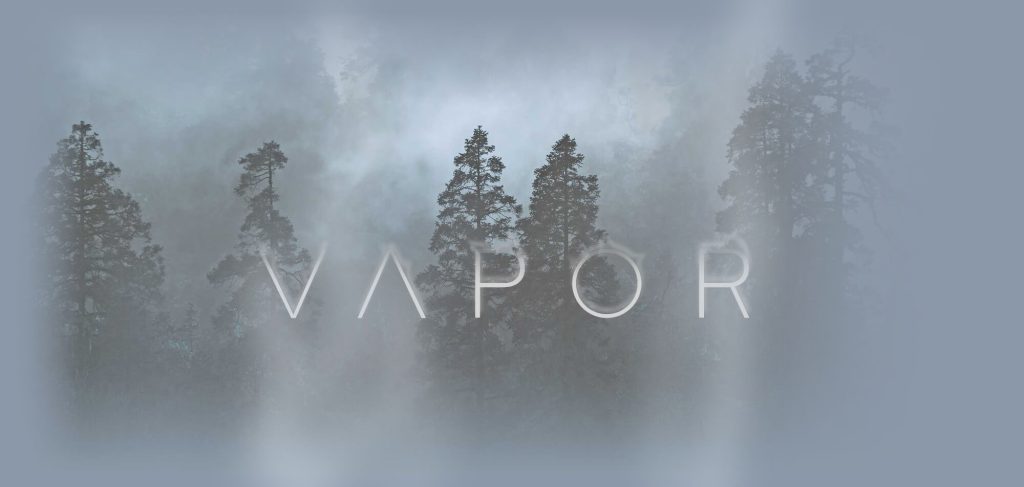 A fog-filled forest, obscured by vapors, with the Vapor LLC logo