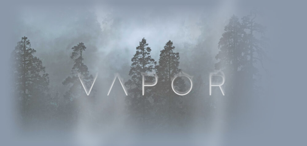A fog-filled forest, obscured by vapors, with the Vapor LLC logo
